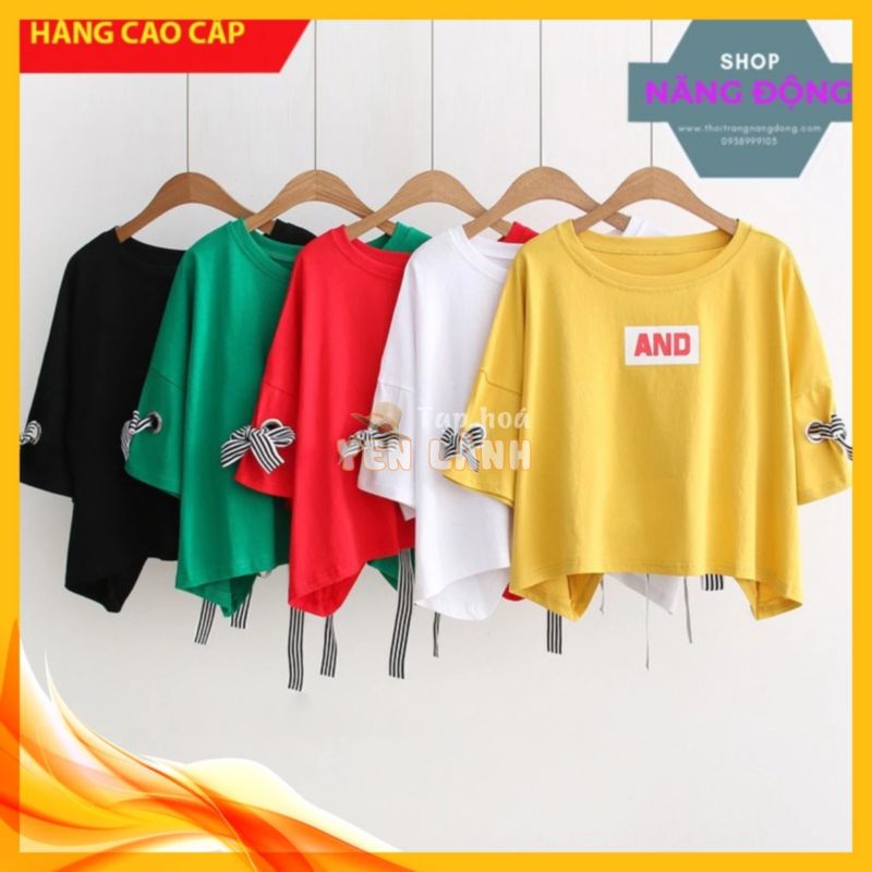 Áo Phông Nữ Đẹp ⚡FREESHIP⚡ Áo thun nữ croptop form rộng chất vải đẹp, thun cotton 4 chiều, mịn, mát, không bị xù M73