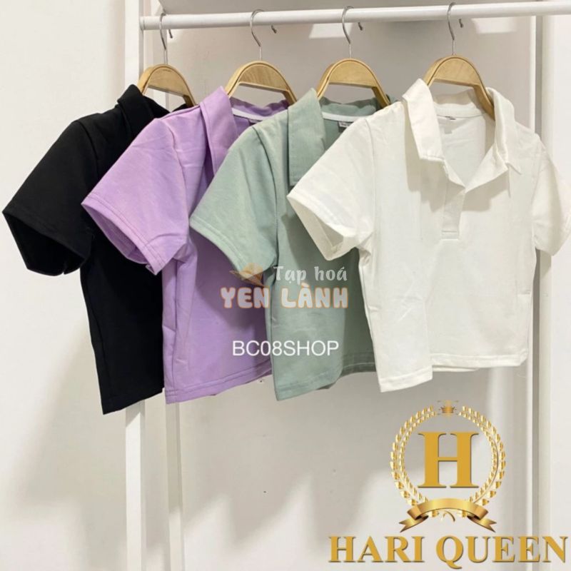 Áo croptop trơn cổ bẻ HARI