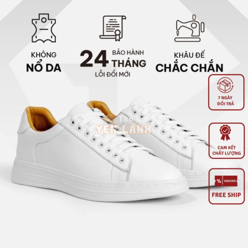 Giày Thể Thao Sneaker Trắng Da Bò Thật Bảo Hành Da 12 Tháng Full Box Dành Cho Nam