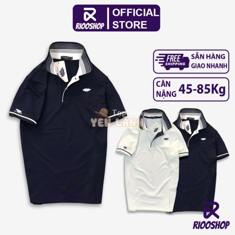 Áo polo nam basic, áo phông nam có cổ vnxk trắng, xanh đen đẹp, cộc tay, bigsize, form regular, vải dày RIOOSHOP RSP001