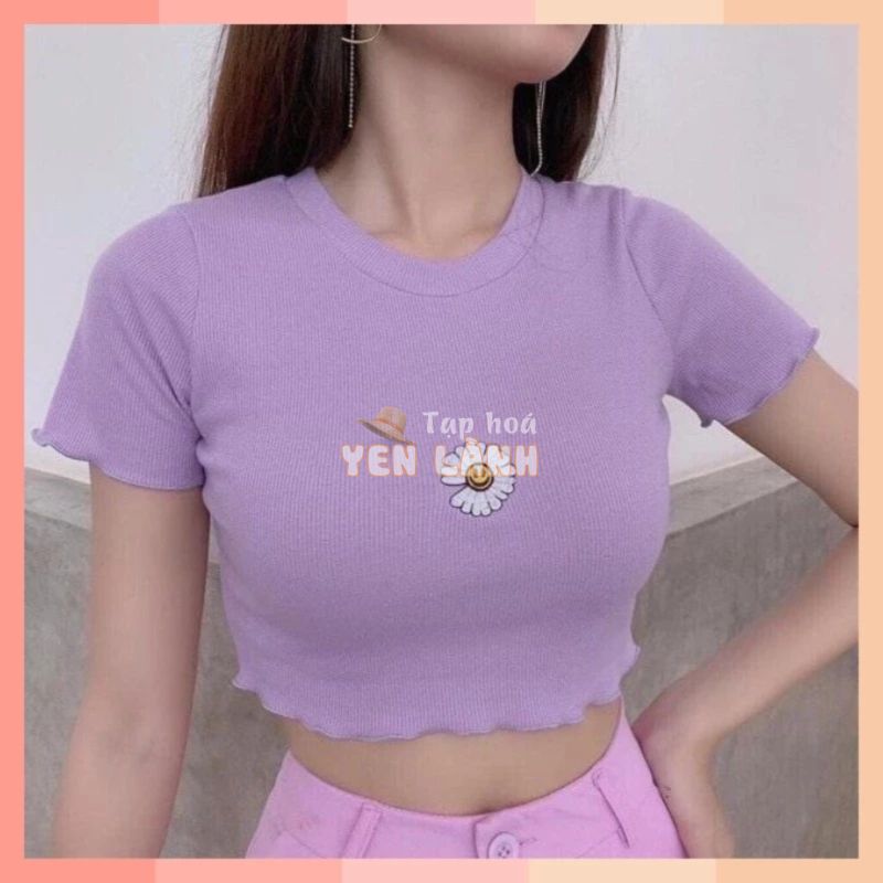 [VIDEO ẢNH THẬT]Áo Thun Croptop Thêu Hoa Cúc Body 4 Màu Xinh Xắn ACC70