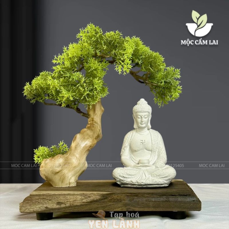 Bộ Tiểu Cảnh Bonsai Mini Đế Gỗ Đặt Tượng – Tiểu Cảnh Trang Trí Phòng Khách Bàn Làm Việc