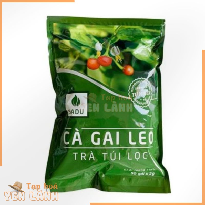 1 bịch Trà túi lọc Cà Gai Leo Sadu 250g Hỗ trợ bảo vệ lá Gan cho cả gia đình bạn