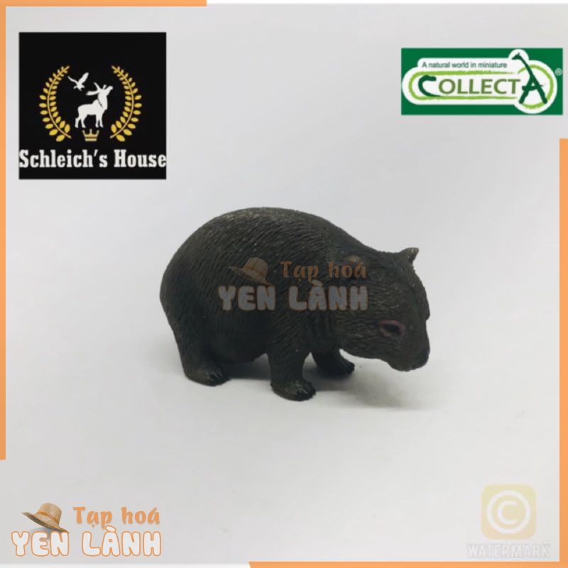 Mô hình động vật CollectA Gấu túi mũi trần 88756 – Schleich House