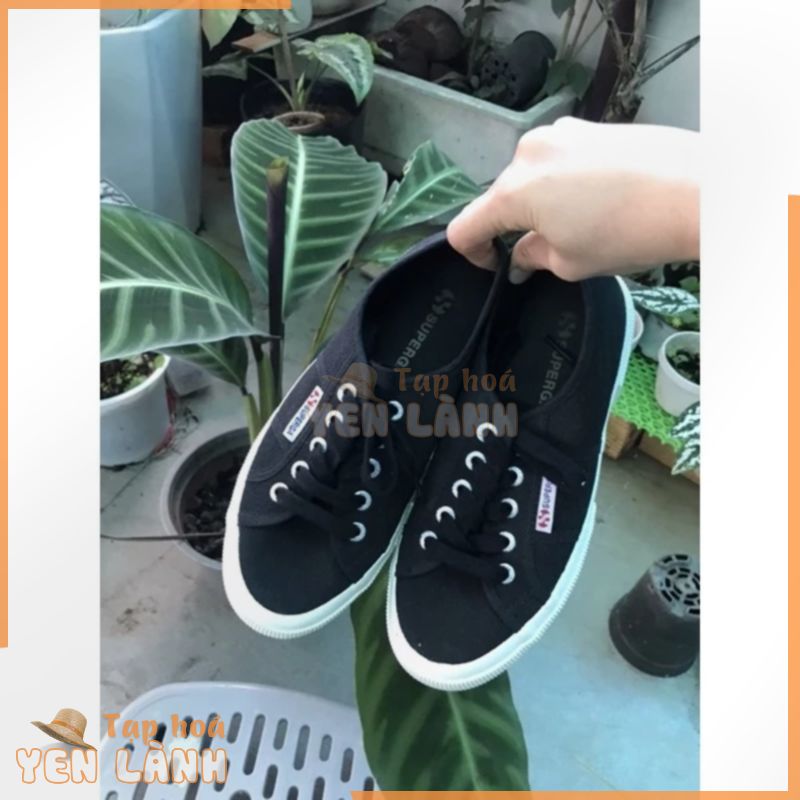 Pass Superga simple size 36 fit 37- Giày thể thao đơn giản.