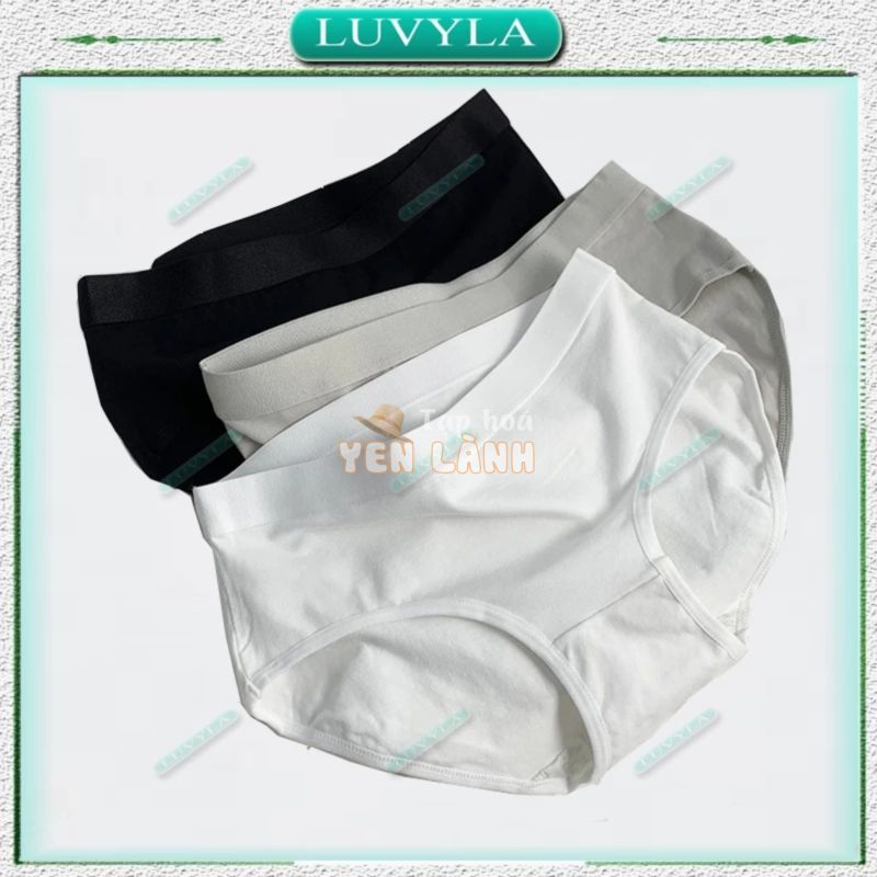 Quần lót nữ bigsize cotton thun lạnh kháng khuẩn – big size 80kg LUVYLA QLC12