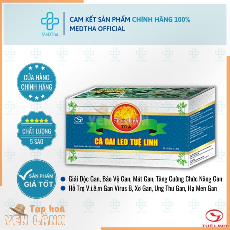 Trà Túi Cà Gai Leo Tuệ Linh – Hỗ trợ Phục hồi và Bảo vệ tế bào gan (Hộp 25 túi lọc) [Chính Hãng]