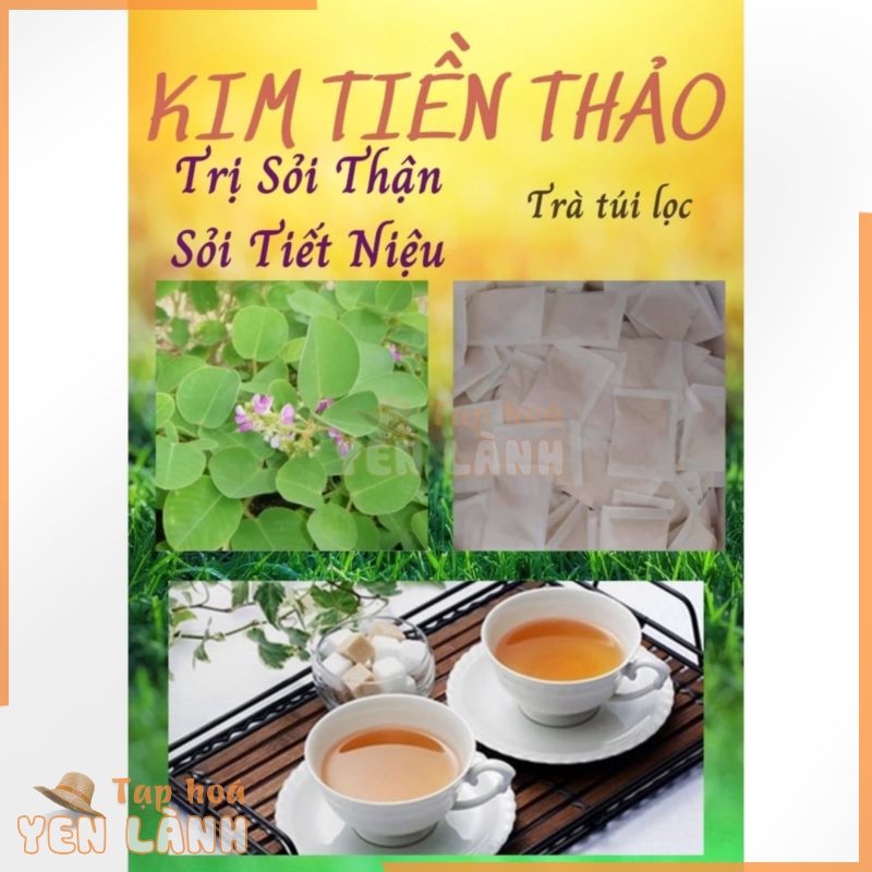 TRÀ KIM TIỀN THẢO – 40 Túi Lọc – Giảm Sỏi Mật, Giảm Sỏi Thận, Giảm Sỏi Tiết Niệu Hiệu Quả