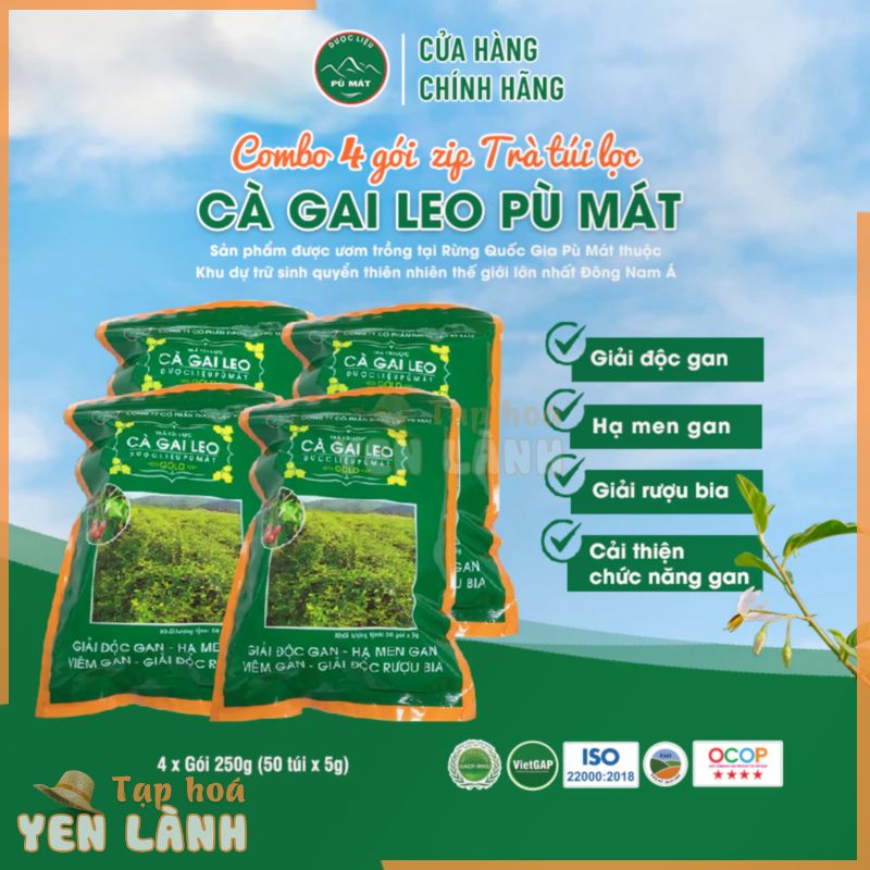 Combo 4 Trà túi lọc Cà Gai Leo Dược liệu Pù Mát mát gan 250g (Gói zip 50 túi x5g)