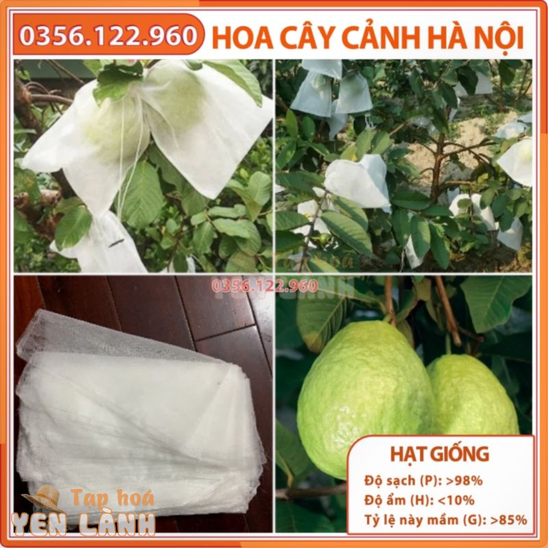 200 Túi bọc trái cây Ổi, na, xoài … chống côn trùng có dây rút 18x18cm – Shop hoa cây cảnh Hà Nội