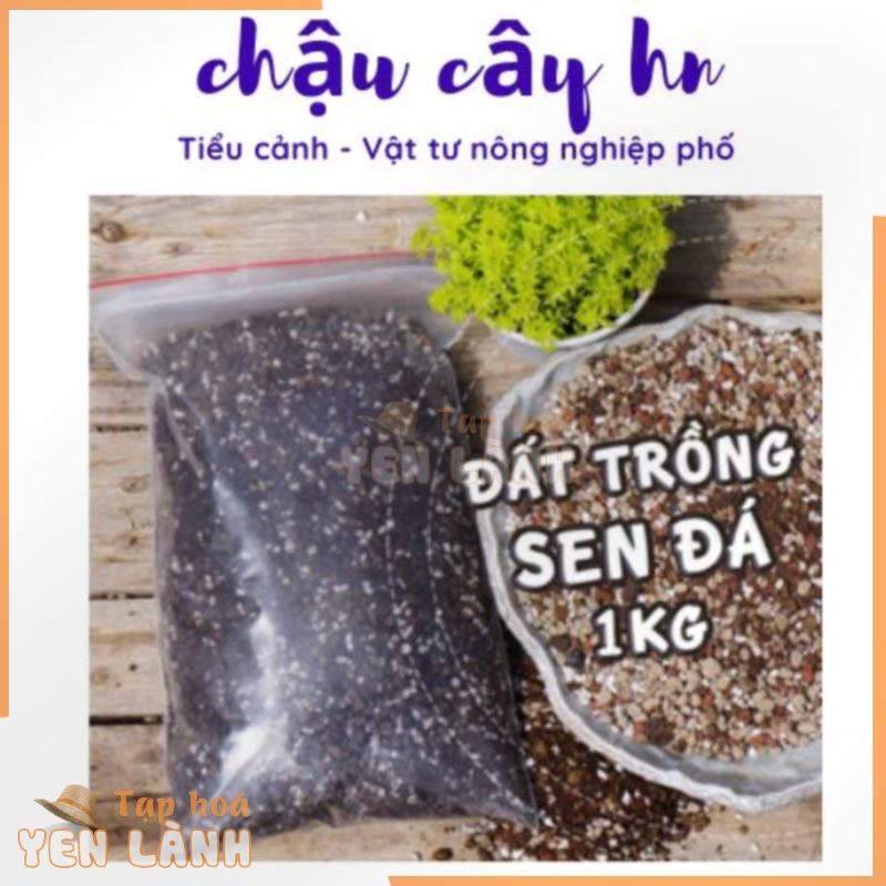 (Túi 17x30cm) Đất Trồng Sen Đá, Xương Rồng, Đất Trồng Cây Trộn Sẵn dùng cho các cây cần ít nước, sen đá xương rồng